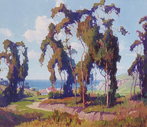 Marion Wachtel - Coastal Eucalyptus